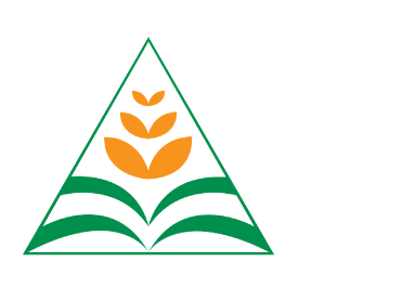 Web Platform